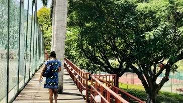 How To Relocate Abroad as a Nigerian