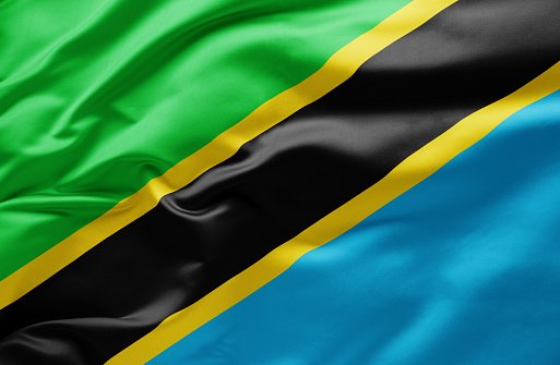 How To Make Money Online In Tanzania