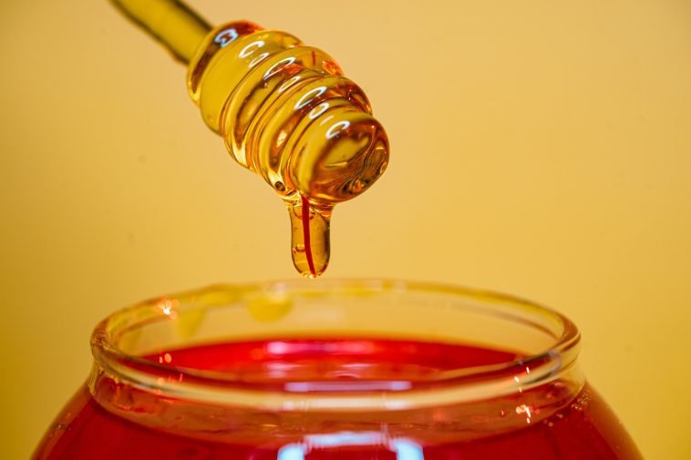 How To Start a Honey Business In Nigeria