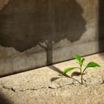 How To Increase Your Willpower and Determination