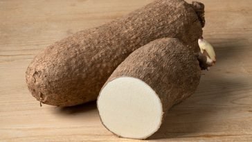 How To Start a Yam Farm Business In Nigeria