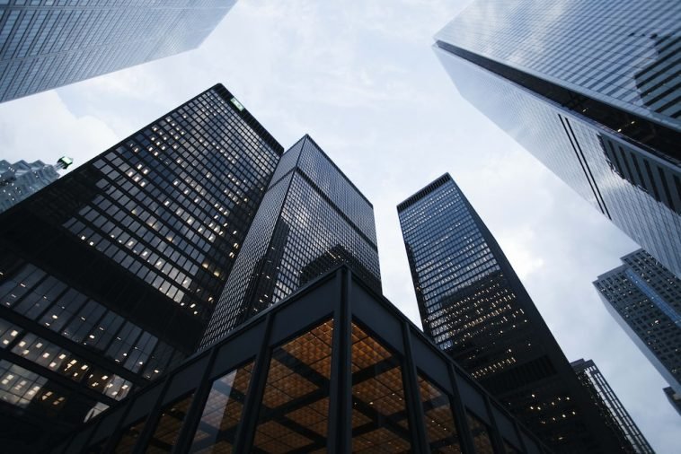 How To Find and Dominate Your Business Niche