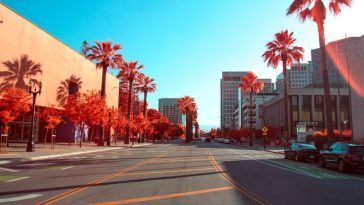 How To Start an LLC In California