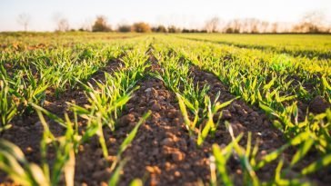 How To Grow an Agriculture Business on Facebook