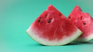 How to Start a Watermelon Business In Nigeria