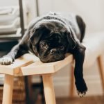 How To Stop Being Boring and Shy