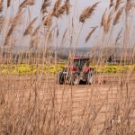 Agribusiness Ideas You Should Start In Nigeria