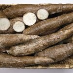 How To Start a Cassava Farm Business in Nigeria