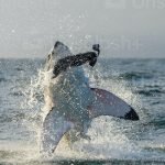 How To Break Free From Victim Mentality