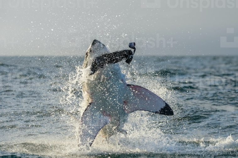 How To Break Free From Victim Mentality