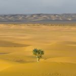 How To Build Mental Toughness and Overcoming Adversity