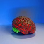 How To Change Your Mind and Create a Good Life
