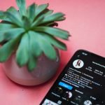 How To Make Money Online with Your Instagram Followers