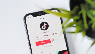 How To Make Money Online with Your TikTok Followers