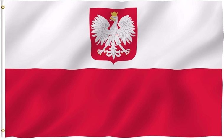 Best Survey Sites To Make Money Online In Poland