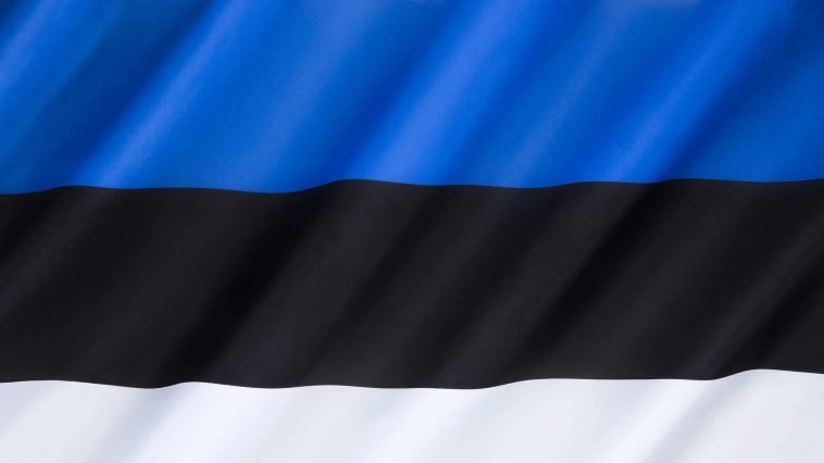 Best Survey Sites To Make Money Online In Estonia