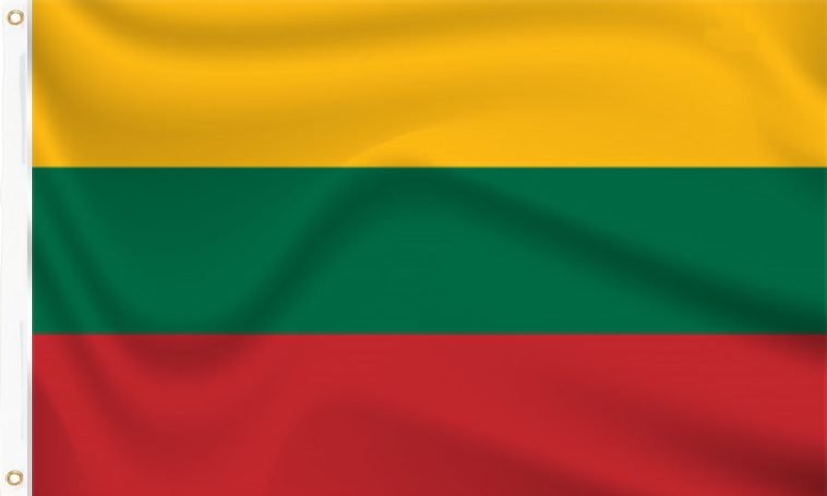 Best Survey Sites To Make Money Online In Lithuania