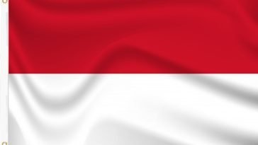 Best Survey Sites To Make Money Online In Monaco