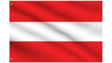 Best Survey Sites To Make Money Online In Austria