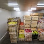 How To Start a Cold Room Business In Nigeria