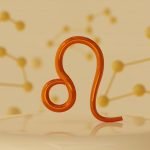 Best Business Ideas For a Leo Man and Woman