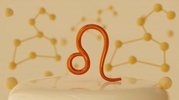 Best Business Ideas For a Leo Man and Woman