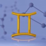 Best Business Ideas For a Gemini Man and Woman