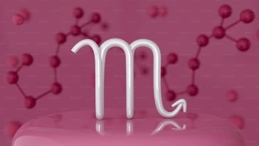 Best Business Ideas For a Taurus Man and Woman