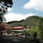 a street with a hill in the background